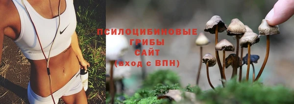 соль ск Михайловка