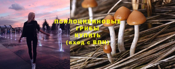 соль курить ск Наволоки