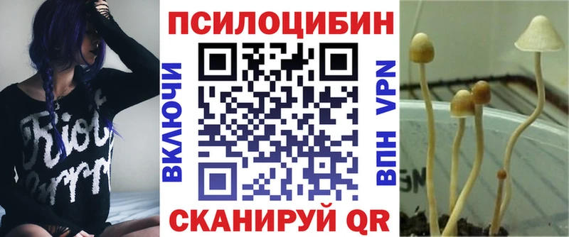 Псилоцибиновые грибы Magic Shrooms  блэк спрут как зайти  Саратов 